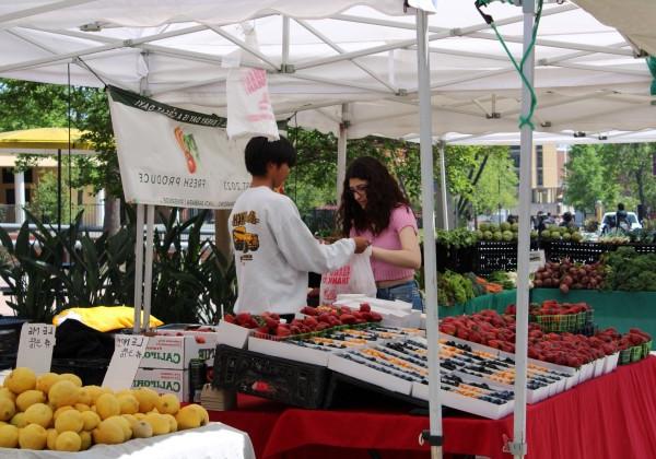 at the farmer's market booth with fresh produce, a dark haired male student is helping a dark haired female student at the booth